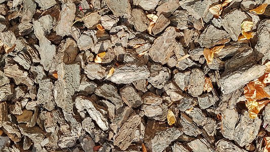 花园的木屑 躺在地上的树皮的纹理 树皮的背景 装饰树皮 覆盖物 覆盖物 装饰木片 天然松木覆盖棕色图片