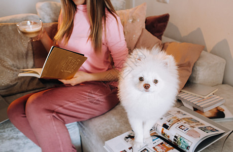 一个穿着睡衣的女孩在家里和她的狗 Spitzer 一起看书 狗和它的主人正在沙发上休息并看书 家务杂志乐趣休闲装成人工具放松白狗图片