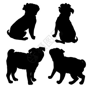 法国斗牛犬纯种犬站在侧视图矢量轮廓隔离动物身体哺乳动物棕色绘画白色褶皱衣领灰色拳击手图片