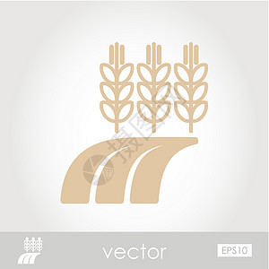 实地矢量图标上的小麦 Barley或Rye耳朵图片