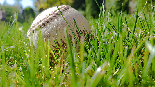 白色的棒球球在新鲜绿草上 复制空间特写 美国体育棒球比赛土地团队运动公园皮革草地外场锦标赛竞赛游戏图片