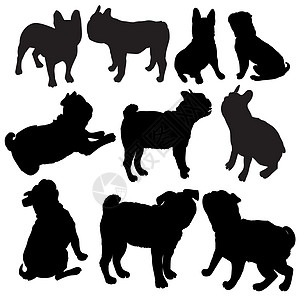 法国斗牛犬纯种犬站在侧视图矢量轮廓隔离漫画拳击手绘画黑色灰色哺乳动物耳朵宠物衣领壮汉图片