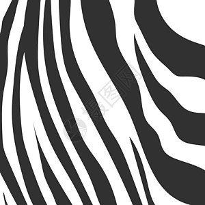 动物背景图案斑马皮肤纹理 股票矢量图动物群老虎边缘材料条纹推介会线条动物园荒野毛皮图片
