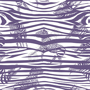素描无缝模式与野生动物斑马在白色背景上 矢量插图 野生非洲动物装饰皮肤动物园服饰线条斑马纹条纹材料条带哺乳动物图片