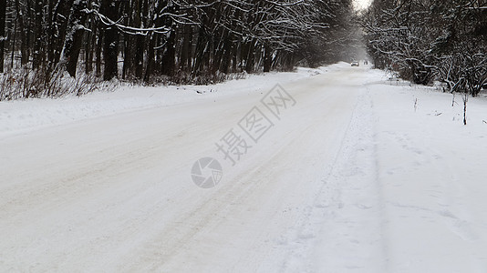 冬季风景 城市公园的雪覆盖足迹 冬季森林中的树木被一条道路覆盖胡同薄雾分支机构城市冻结旅行小路场景国家车道图片