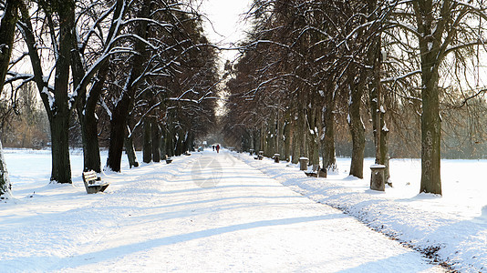 冬季风景 城市公园的白雪小巷 冬季森林中的树木和道路被雪覆盖图片