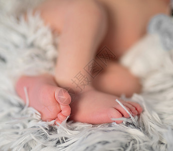 毛毛毯上新生婴儿可爱的折叠腿图片