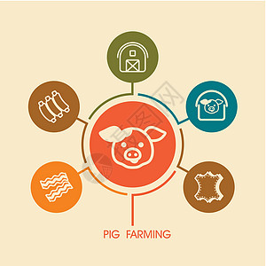 养猪农场养猪图标和农业人口资料图农民烧烤谷仓小猪猪肉熏肉食物推介会动物皮革插画