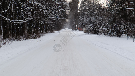 冬季风景 城市公园的雪覆盖足迹 冬季森林中的树木被一条道路覆盖国家薄雾林地分支机构城市冻结胡同公园天气场景图片