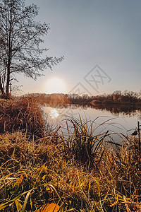 生动的秋天日落 日落秋天风景在河的与光亮的草在岸上 明亮的夜晚风景秀丽 天空五彩缤纷反射日出叶子池塘树叶太阳季节森林蓝色环境图片