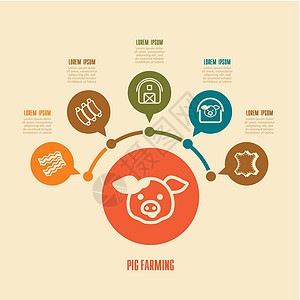 养猪图标和农业人口资料图农场皮革农民动物猪肉谷仓小猪食物推介会熏肉背景图片