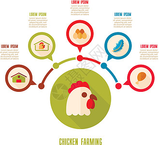 养鸡神像和农业信息资料图谷仓推介会图表母鸡农场羽毛农民食物房子动物图片
