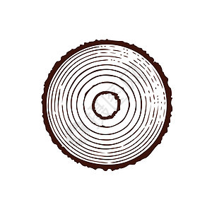 有年轮的树干 树木年轮 在白色背景上隔离的矢量图植物森林戒指装饰品概念木材手工圆形地形木工图片