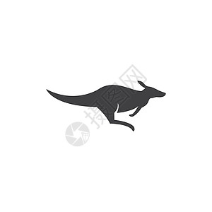袋鼠插画设计标识品牌公司商业数字动物哺乳动物荒野插图斗志图片
