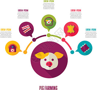 养猪图标和农业人口资料图推介会猪肉皮革农民谷仓动物小猪农场熏肉肋骨图片