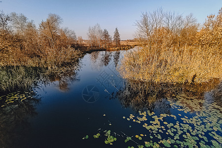 生动的秋天的一天 在河的秋天风景有明亮的草的在岸上 明亮的夜晚风景秀丽 天空和水色彩缤纷阳光蓝色日出季节环境地平线晴天树叶反射森图片