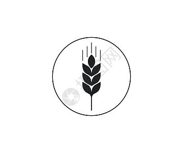 小麦作物农业图标 矢量插画平面设计食物大麦艺术角膜标签面包耳朵生长产品营养图片