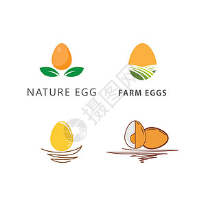 鸡蛋图 vecto枝条草图食物市场插图标签动物早餐产品家禽图片