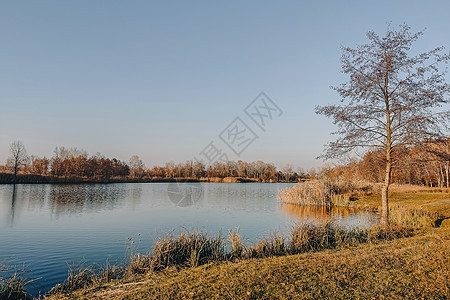 生动的秋天的一天 在河的秋天风景有明亮的草的在岸上 明亮的夜晚风景秀丽 天空和水色彩缤纷反射季节公园池塘树叶场景地平线森林阳光太图片