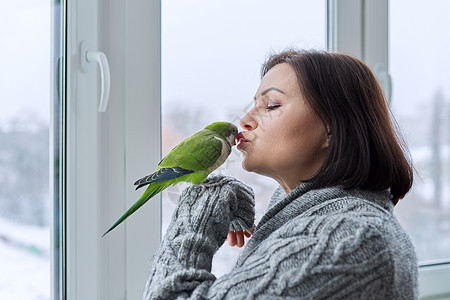 中年女人和鹦鹉在一起 雌鸟主人在亲吻绿色的采石人宠物图片