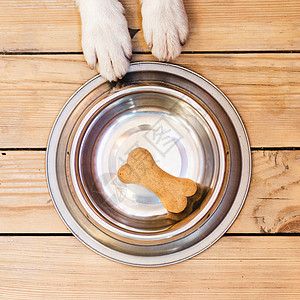 带骨头的狗狗食物碗小吃饼干房子火车宠物小狗动物盘子营养牙齿图片
