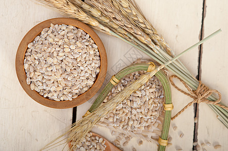 有机大麦谷物木头植物农业啤酒食物粮食麦芽乡村种子稻草图片