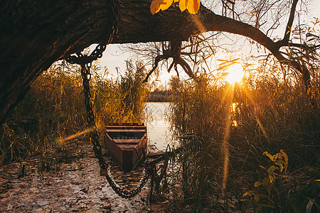 河岸附近的一艘船 满满了水和金色的秋天 日落时叶血管街道艺术农村森林游客码头支撑叶子旅行图片