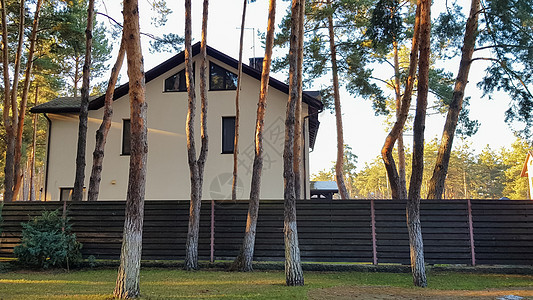 大型现代住宅楼和大庭院 有树木和鲜花 森林里有太阳光 笑声后院别墅建筑学花园草地木头松树太阳光线建筑图片