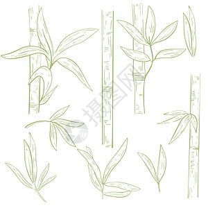 一套竹叶茎手雕刻矢量插图图片