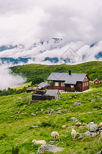 挪威风景与典型的斯堪的纳维亚草屋顶房屋和在山谷吃草的绵羊 挪威田园诗般的绵羊农场 在高山牧场上观看乡村景观农舍高原图片