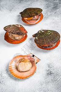 在厨房桌上 白色背景奢华桌子食物贝类烹饪海鲜营养美味贝壳海洋图片