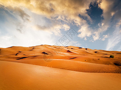 沙漠沙丘阳光天空孤独海浪波纹干旱太阳寂寞地平线图片