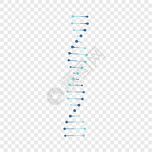 在透明背景上隔离的 Dna 图标图片