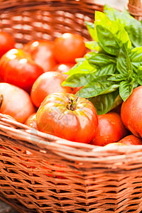 农场番茄蔬菜市场传家宝美食篮子草本植物花园植物食物树叶图片