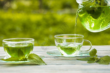 Melissa茶药品茶壶薄荷草本植物玻璃饮料杯子植物早餐黄色图片