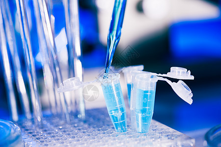 埃彭多尔夫管架子科学微生物学技术实验化学塑料遗传学实验室蓝色图片