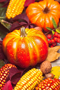 博里的秋天核桃团体桌子玉米荚蒾收成榛子收藏感恩浆果图片