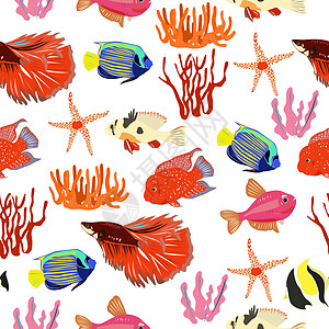 海洋观赏鱼红色观赏鱼和藻类的图案插画