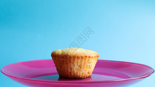 一个粉红色盘子上没有粉末的凝乳蛋糕 蓝色背景 侧视图 复制空间甜点 小蛋糕 新鲜出炉的馅饼 食物的概念 质地轻盈的白色烤饼干图片