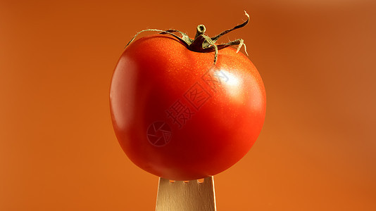 木叉上的单个美味红番茄 对于食物问题的想法是开放空间 多汁的多层浆果 一年生或多年生草本植物 蔬菜栽培图片