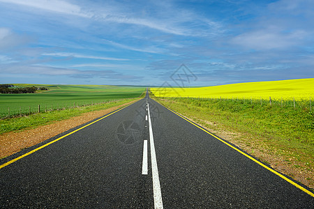 穿过明亮黄绿色地貌的道路太阳晴天黄色农场场地花朵公路旅行农业图片