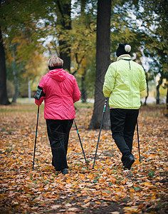 两名老年妇女参与斯堪的纳维亚人在公园走在树丛中间路外的公园中 身陷其中图片