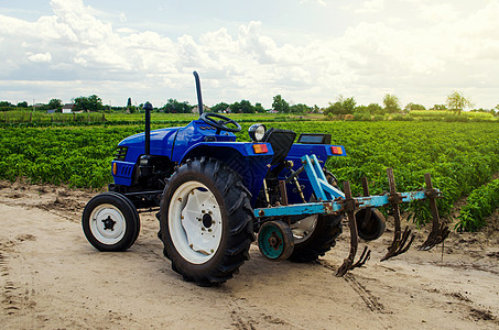 农民的拖拉机与保加利亚胡椒种植园的耕种机犁设备和田地 农业 农业 农业通用机械设备 在农场工作 收获图片