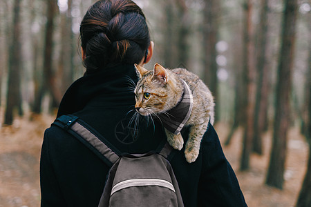 坐在森林里女人肩膀上的猫咪图片