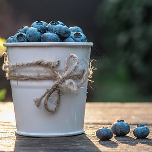 一些蓝莓 在一个装饰小桶里 在夏日夕阳在花园的木棚子上荒野宏观蓝色苔藓癌症叶子森林饮食生产水果图片