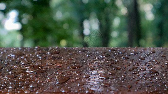 空木桌顶 雨滴模糊了花园中新鲜的绿色抽象 用于产品展示架 绿色自然背景模糊的空木桌展示太阳乡村剪辑架子公园叶子广告森林桌面图片