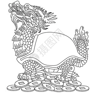 插画  |龙头龟大纲乌龟龟壳照片  |乌龟龟壳轮匝肌小路照片  |龟壳