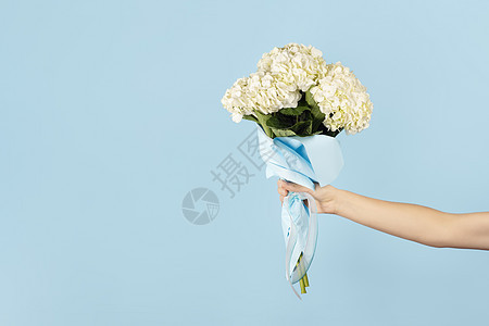 手拿着一束美丽的嫩白色绣球花 浅蓝色背景花作为教师节 母亲节 国际妇女节或情人节的礼物 带有复制空间的横幅图片