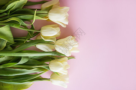 黄色郁金香花排列在粉红色背景上 从顶部看 平躺 文本的空白空间 春天的概念 妇女节植物群墙纸植物花园蓝色郁金香婚礼生日花朵树叶图片