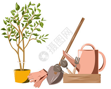 一套园艺工具和一棵小盆栽树图片